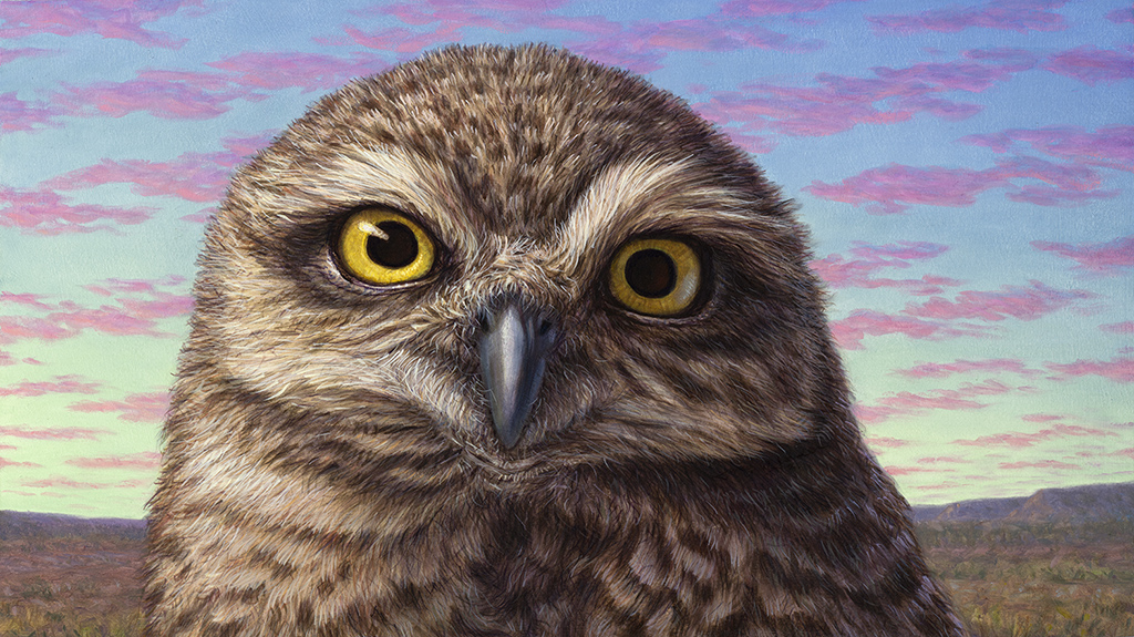 Portrait of a Burrowing Owl